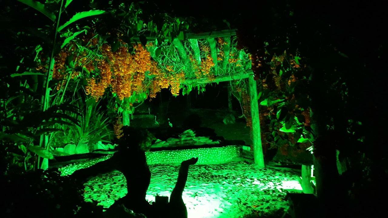 Pousada Cachoeira Poço Encantado Alto Paraíso de Goiás Exterior foto